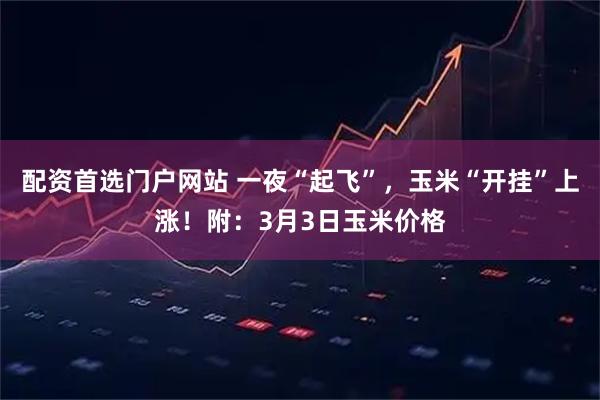 配资首选门户网站 一夜“起飞”，玉米“开挂”上涨！附：3月3日玉米价格