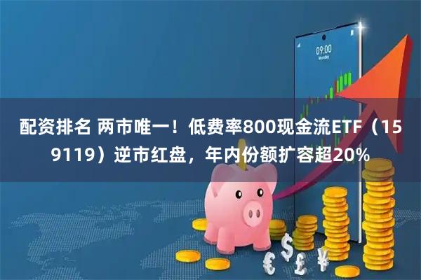 配资排名 两市唯一!低费率800现金流ETF(159119)逆市红盘,年内份额扩容超20%