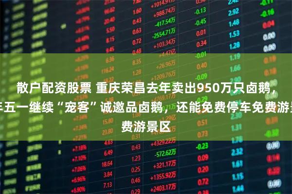 散户配资股票 重庆荣昌去年卖出950万只卤鹅，今年五一继续“宠客”诚邀品卤鹅，还能免费停车免费游景区